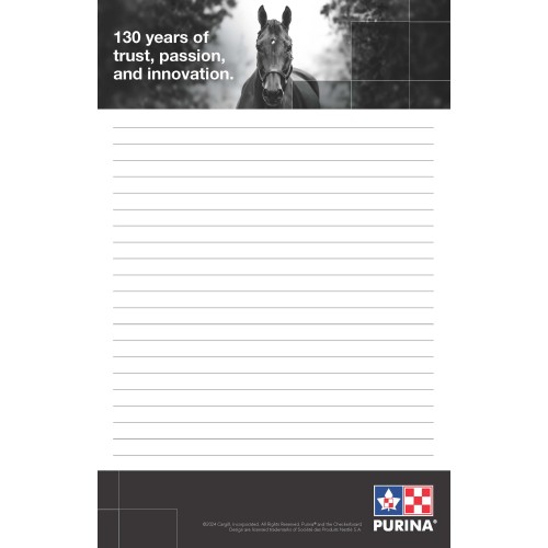 ANGLAIS, 30 SHEETS MEMO PAD